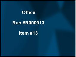 Enchère en direct démo Item #13