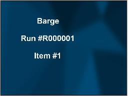 DEMO Webcast auction Item #1