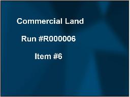 DEMO Webcast auction Item #6