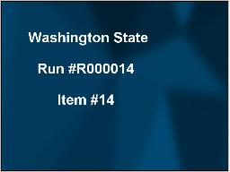 DEMO Webcast auction Item #14