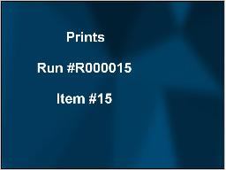 DEMO Webcast auction Item #15