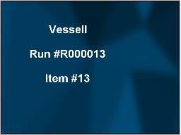 DEMO timed auction Item #13