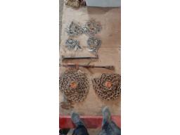 2 chaines 16 et 20 pds 