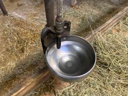 28 water bowls in stainless