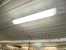 38 safety fluorescents