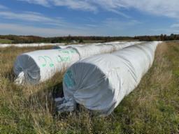 hay one - 48 bales - one- 52 bales - one 53 bales test matières sèches: 86 , prot.brutes 8.5 énergie: 1,31 potassium: 74 
