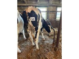 FAB POPSTAR LIP ( 9820)