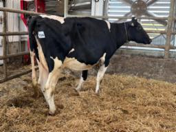 NON-ENREGISTR&Eacute;E (122)