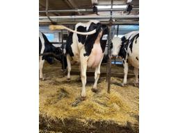 NON-ENREGISTR&Eacute;E (162)