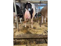 NON-ENREGISTR&Eacute;E (46) 