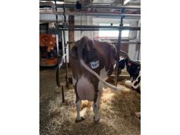 NON-ENREGISTR&Eacute;E (129)