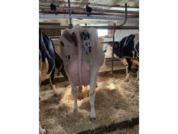 NON-ENREGISTR&Eacute;E (24)