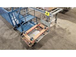 LOT COMPRENANT (1) CHARIOT HAUSSMANN, (2) CHARIOTS