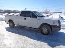 2010, FORD, F-150 XL, No Série: 1FTEX1C89AFA00649,