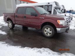 2010, FORD, F-150 XLT, No Série: 1FTEW1E86AFA46584