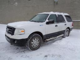 2010, FORD, EXPEDITION XLT, No Série: 1FMJU1G58AEA