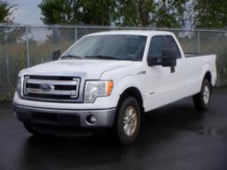 2014, FORD, F-150 XLT, Odomètre: 189 325 km, Masse