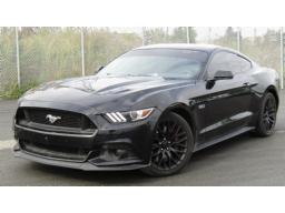 2017, FORD, MUSTANG GT 5.0, AUTOMOBILE, Masse: 1Kg