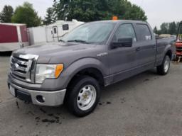 2012 FORD F150, camionnette, 227505km, 