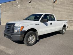 2009, FORD, F-150 XL, CAMIONNETTE 4 X 4, Masse: 25