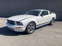 2006, FORD MUSTANG, AUTOMOBILE