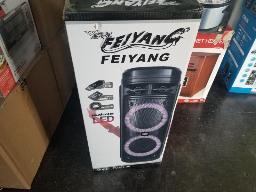 FEIYANG FG20606-Haut parleur avec radio FM (USB, scandisk, batterie rechargeable) neuf
