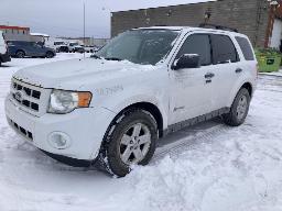 2010, FORD ESCAPE, VUS  AWD