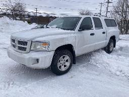 2011, DODGE DAKOTA, CAMIONNETTE