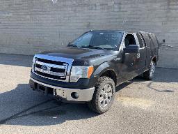 2013, FORD F-150, CAMIONNETTE  4 X 4