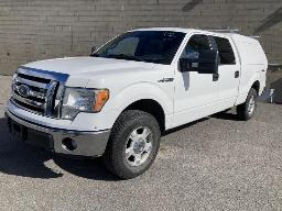 2012, FORD F-150, CAMIONNETTE  4 X 4