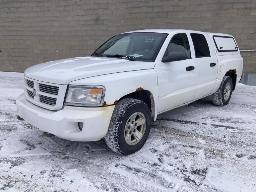 2008, DODGE DAKOTA, CAMIONNETTE