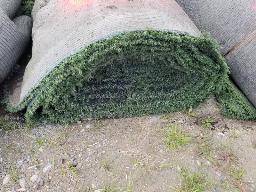 Rouleau de tapis gazon, environ 15' de long, ancien terrain de football