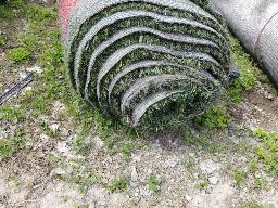 Rouleau de tapis gazon, environ 15' de long, ancien terrain de football