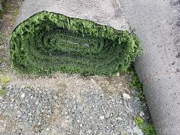 Rouleau de tapis gazon, environ 15' de long, ancien terrain de football