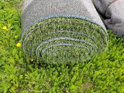 Rouleau de tapis gazon, environ 15' de long, ancien terrain de football