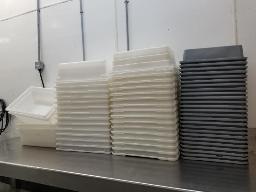 Lot de bacs en plastique