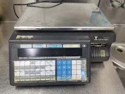 DIGI SM90 TYPE II-Balance