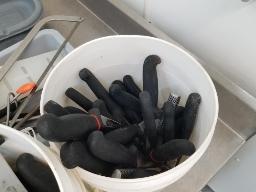 Lot de couteaux et plus