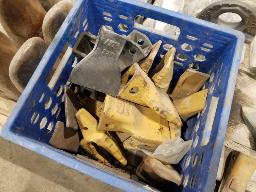 Lot de dents variées