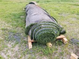 1 Rouleau tapis gazon, environ 15' long