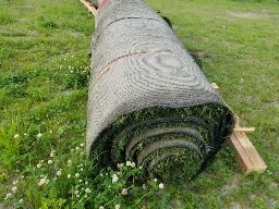 1 Rouleau tapis gazon, environ 15' long