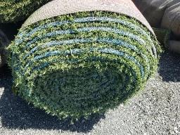 Rouleau Tapis Gazon environ 15' de large, longueur inconnu