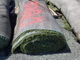 Rouleau Tapis Gazon environ 15' de large, longueur inconnu