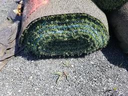 Rouleau Tapis Gazon environ 15' de large, longueur inconnu