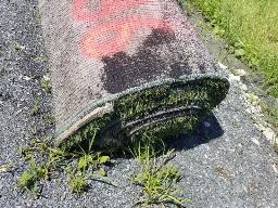 Rouleau Tapis Gazon environ 15' de large, longueur inconnu