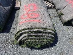 Rouleau Tapis Gazon environ 15' de large, longueur inconnu