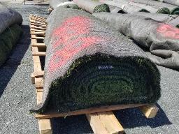 Rouleau Tapis Gazon environ 15' de large, longueur inconnu