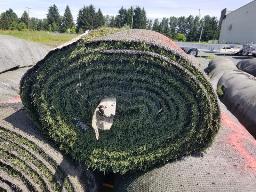 Rouleau Tapis Gazon environ 15' de large, longueur inconnu