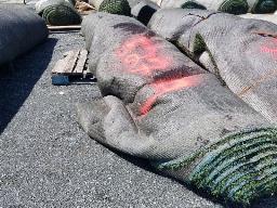 Rouleau Tapis Gazon environ 15' de large, longueur inconnu