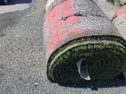 Rouleau Tapis Gazon environ 15' de large